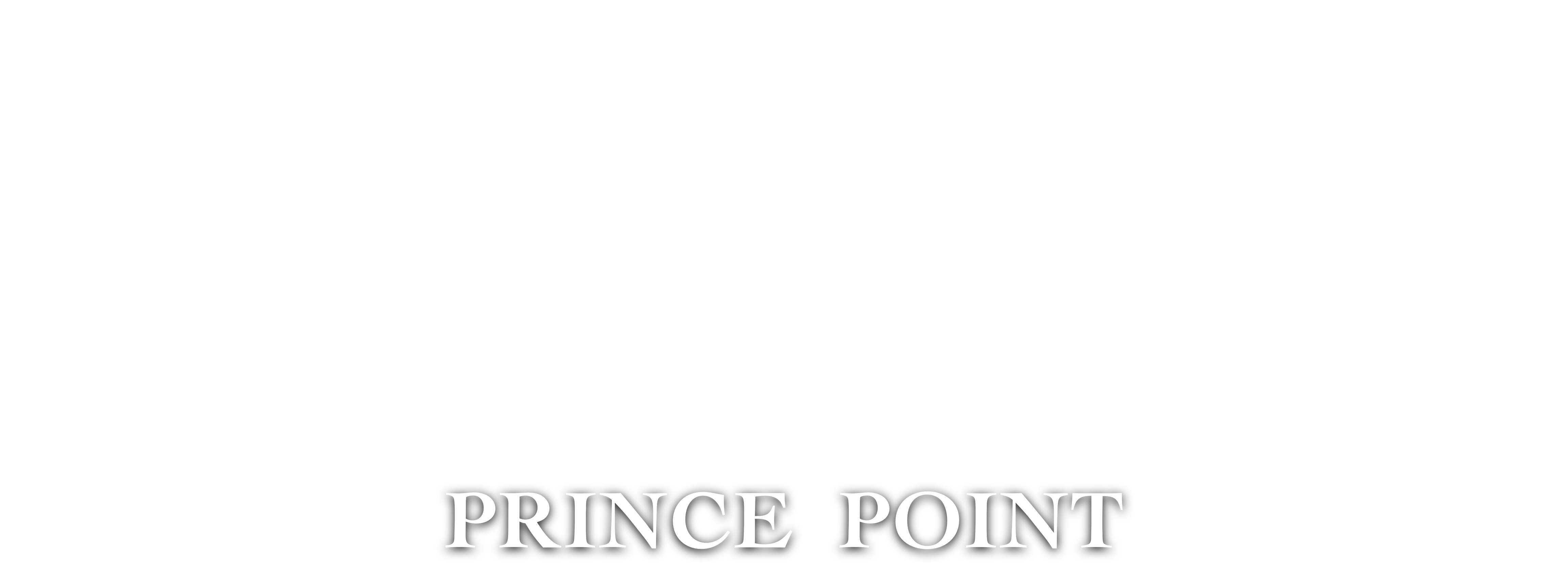 PRINCE POINT